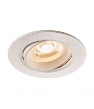 Spot Incastrat ROAR DOWNLIGHT 84960001