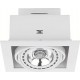 Spot Incastrat DOWNLIGHT ES111 9575