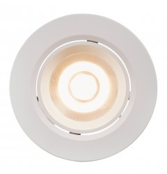 Spot Incastrat ROAR DOWNLIGHT 84960001