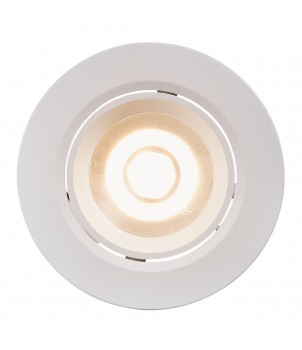 Spot Incastrat ROAR DOWNLIGHT 84960001