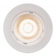 Spot Incastrat ROAR DOWNLIGHT 84960001